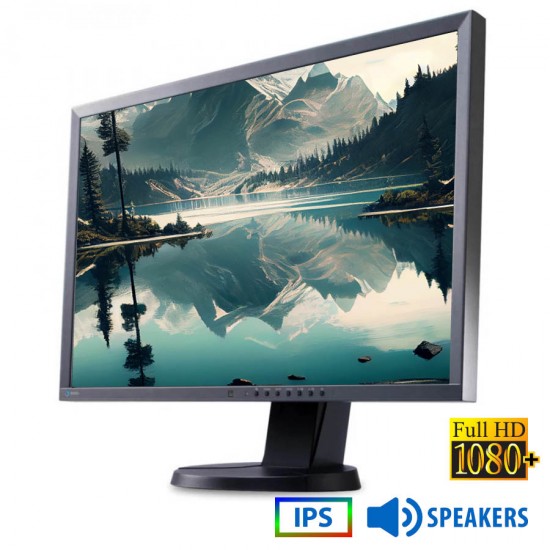 Used (A-) Monitor FlexScan EV2436W IPS LED/Eizo/24"FHD/1920x1200/Wide/Gray/w/Speakers/Grade A-/D-SUB